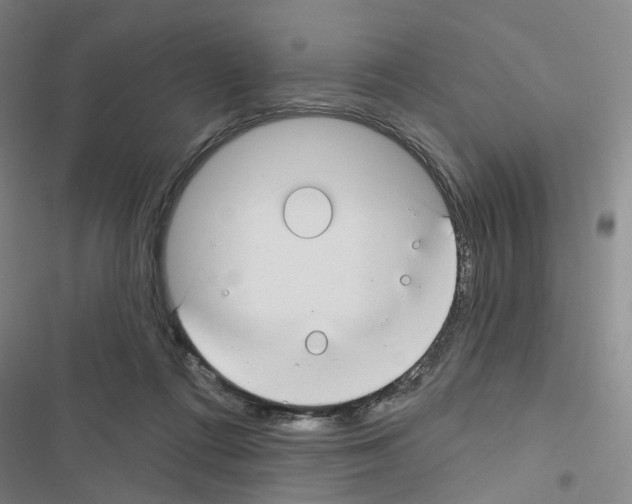X0000116670312201001251244