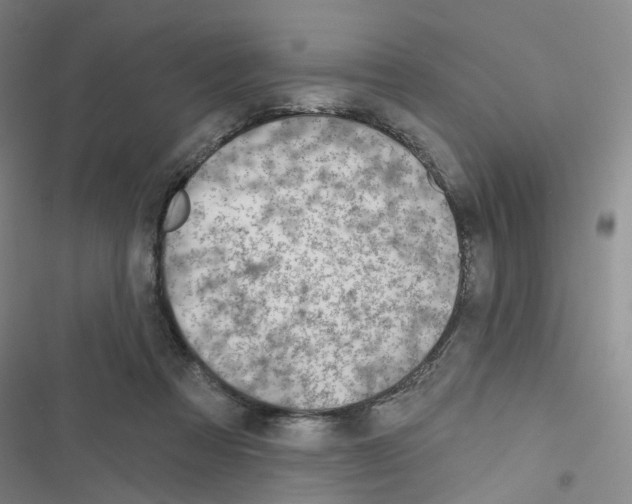 X0000116670313201001251244
