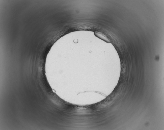 X0000116670315201001251244
