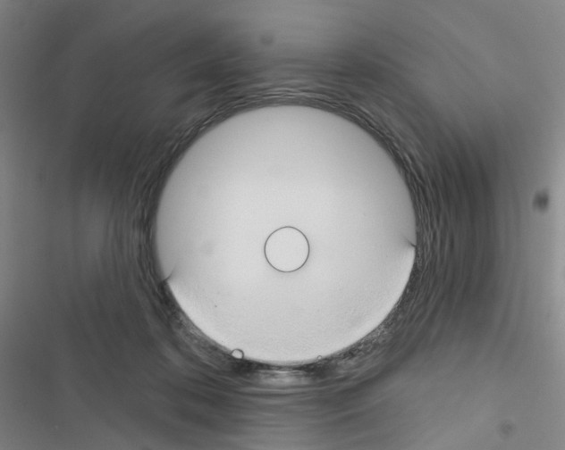 X0000116670316201001251244