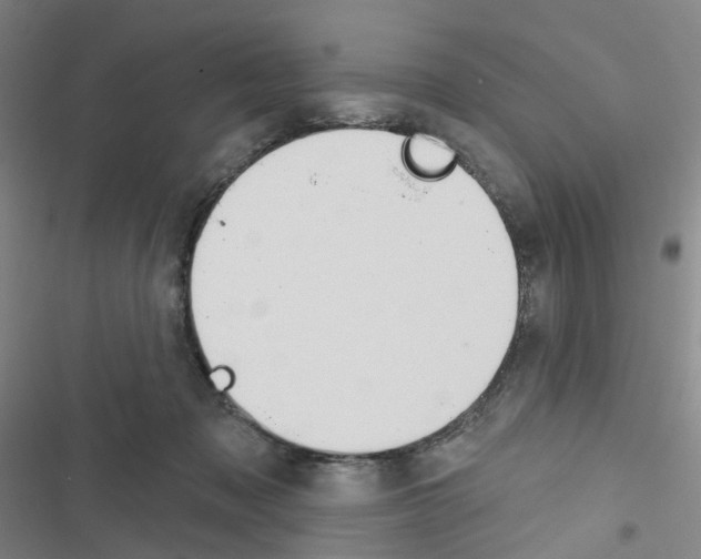 X0000116670317201001251244