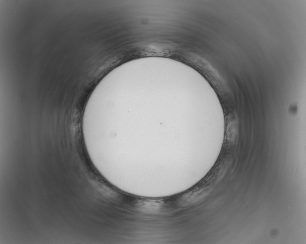 X0000116670318201001251244