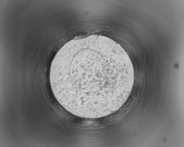 X0000116670319201001251244