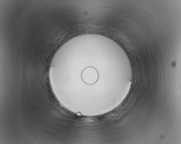 X0000116670320201001251244