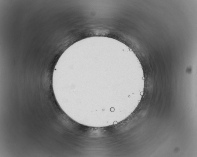 X0000116670321201001251244