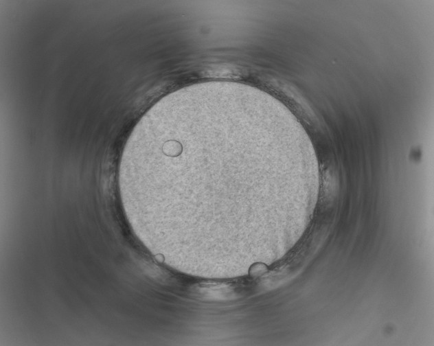 X0000116670322201001251244