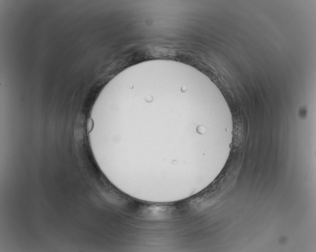X0000116670323201001251244