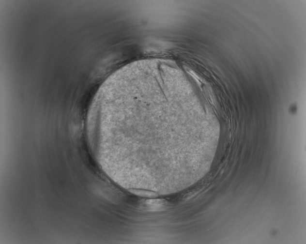 X0000116670324201001251244