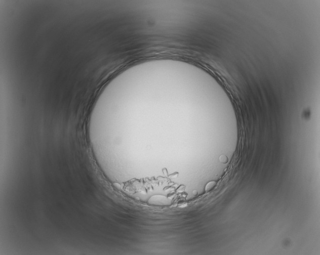 X0000116670325201001251244