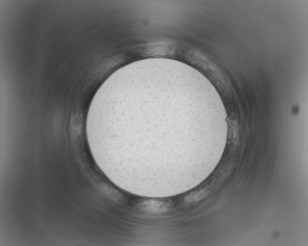 X0000116670326201001251244