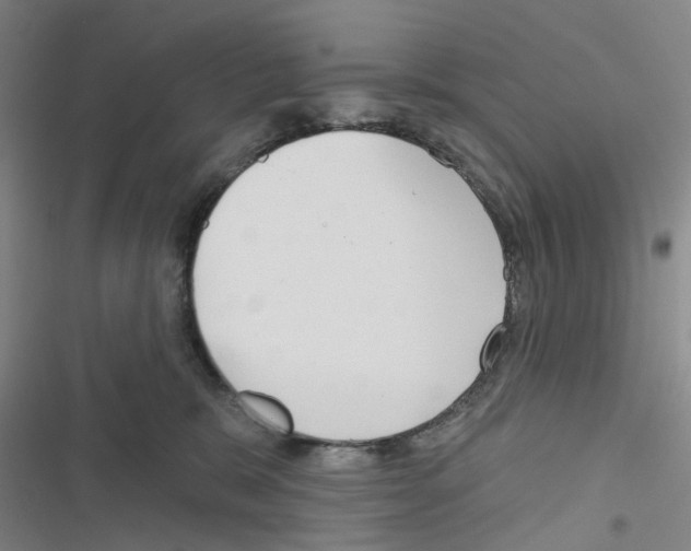 X0000116670327201001251244