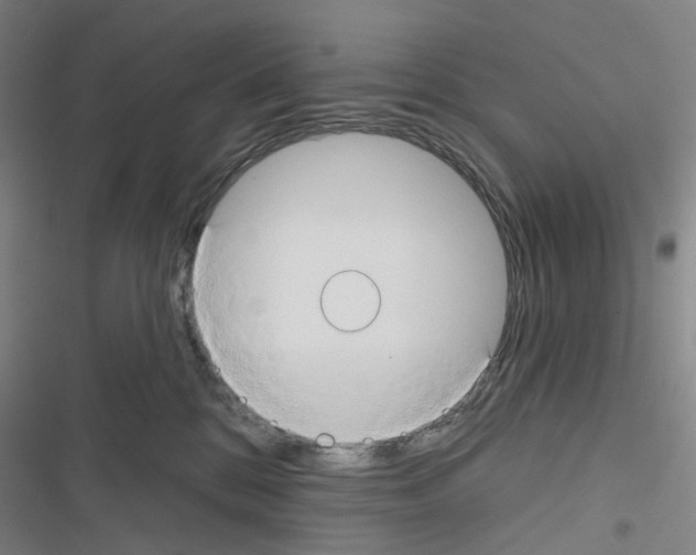 X0000116670328201001251244