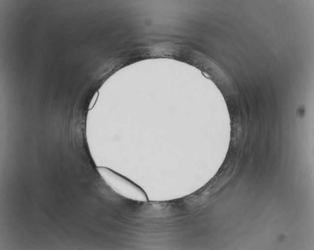 X0000116670329201001251244