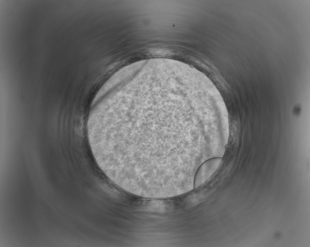 X0000116670330201001251244