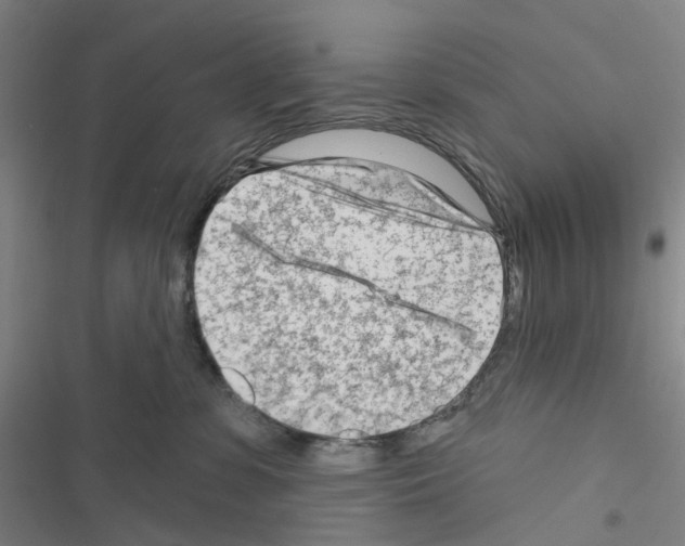 X0000116670331201001251244