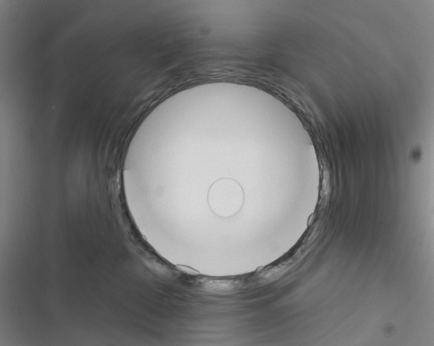 X0000116670332201001251244
