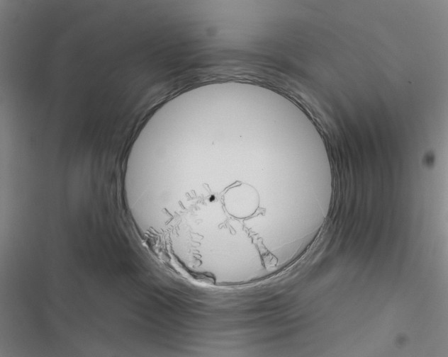 X0000116670333201001251244