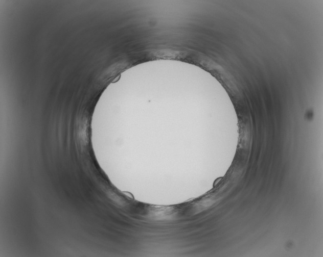 X0000116670334201001251244