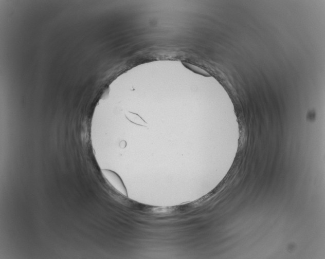 X0000116670335201001251244