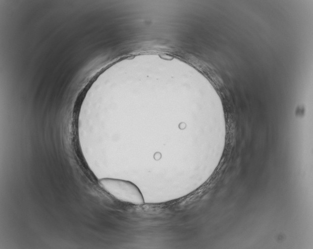 X0000116670338201001251243