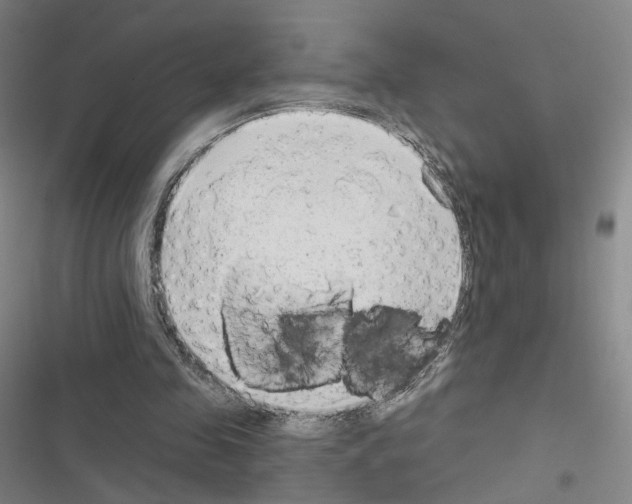X0000116670341201001251243