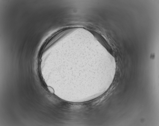 X0000116670342201001251243
