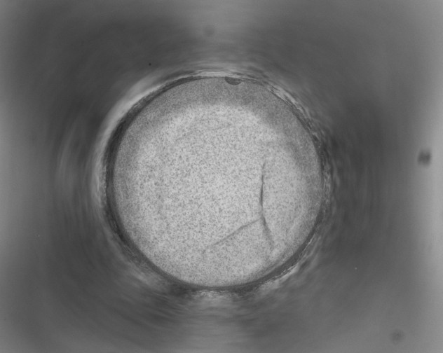 X0000116670343201001251243