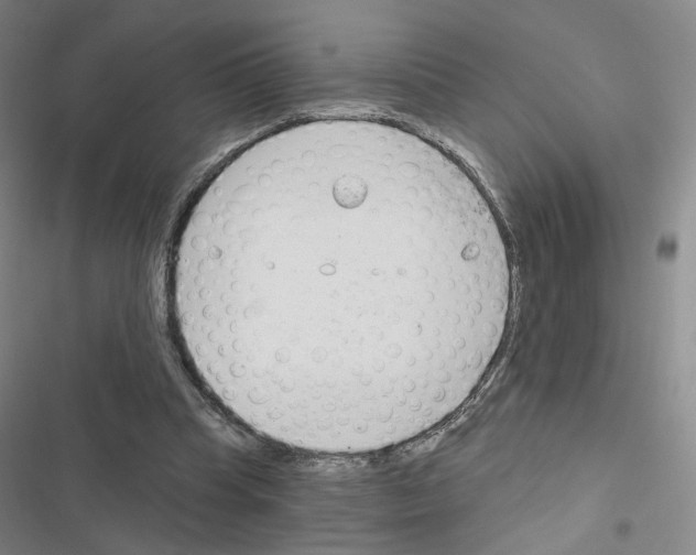 X0000116670345201001251243