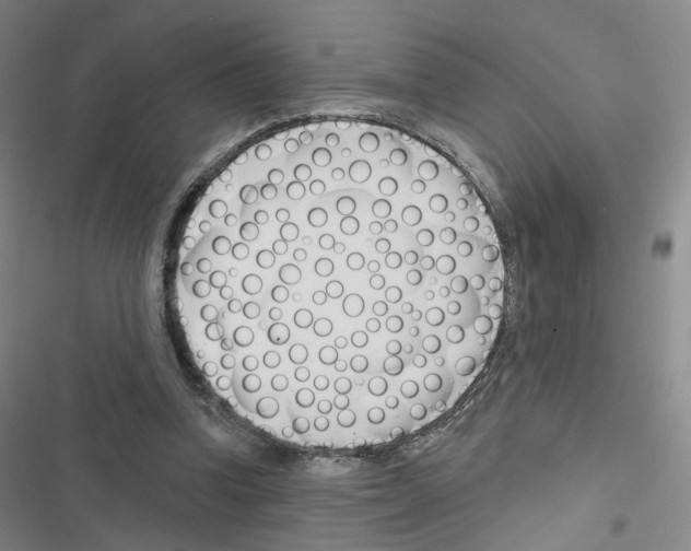 X0000116670346201001251243