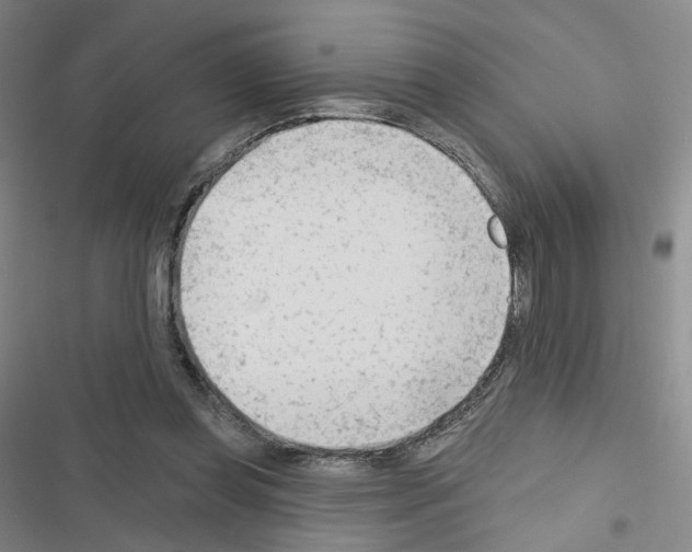 X0000116670349201001251243