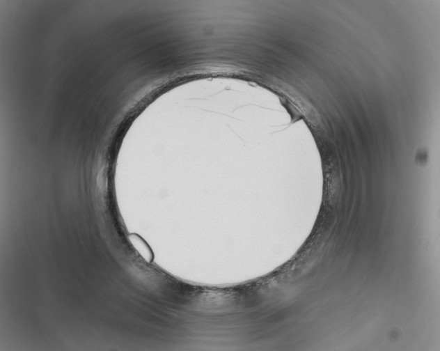 X0000116670350201001251243