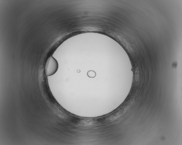 X0000116670351201001251243