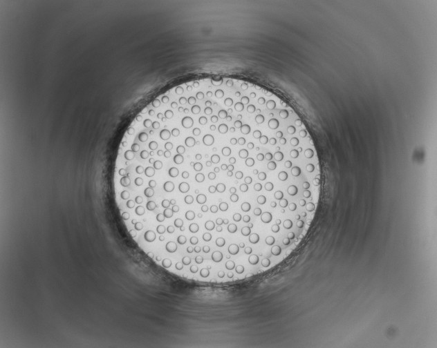 X0000116670354201001251243