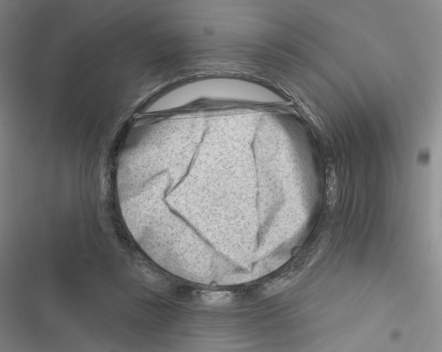 X0000116670355201001251243