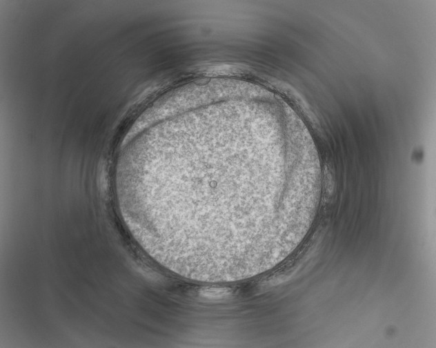 X0000116670357201001251243