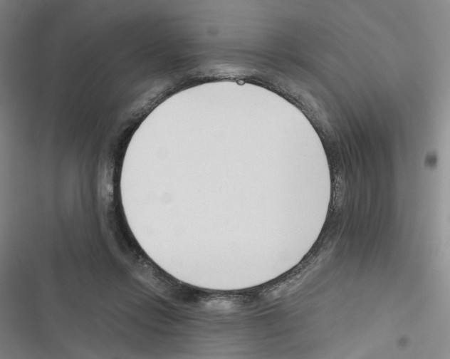 X0000116670358201001251243