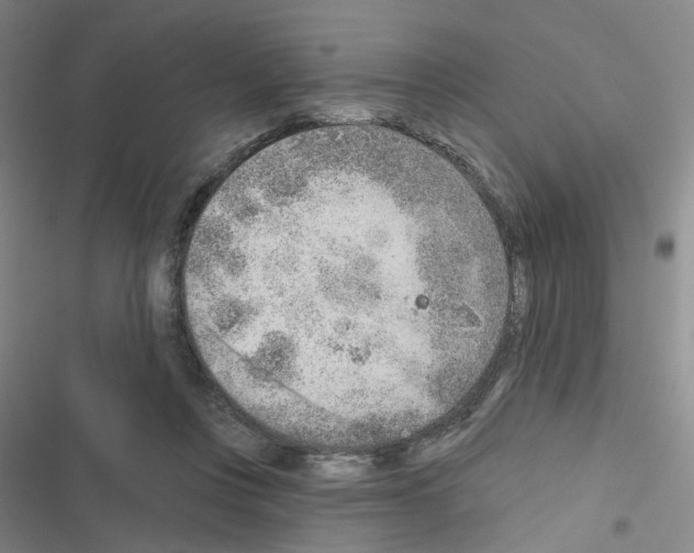 X0000116670359201001251244