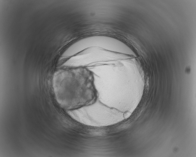 X0000116670363201001251244