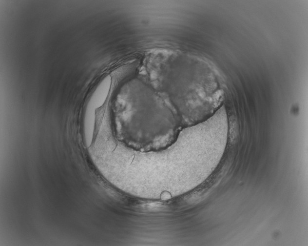 X0000116670365201001251244