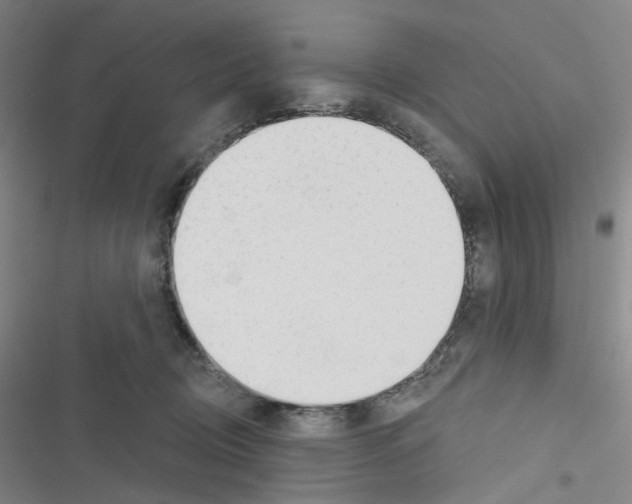 X0000116670370201001251244