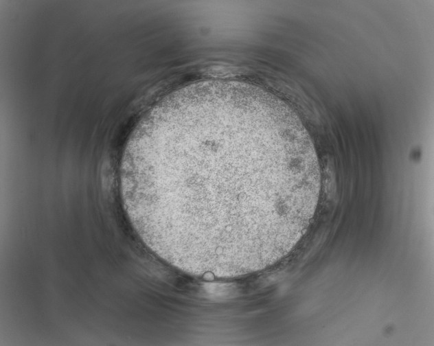 X0000116670371201001251244