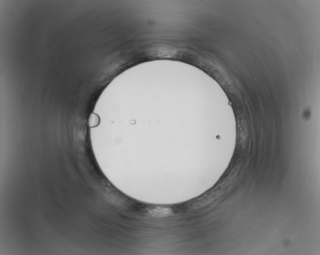 X0000116670374201001251244