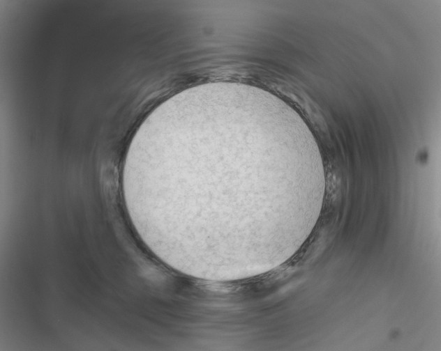 X0000116670375201001251244