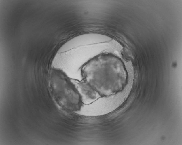 X0000116670377201001251244