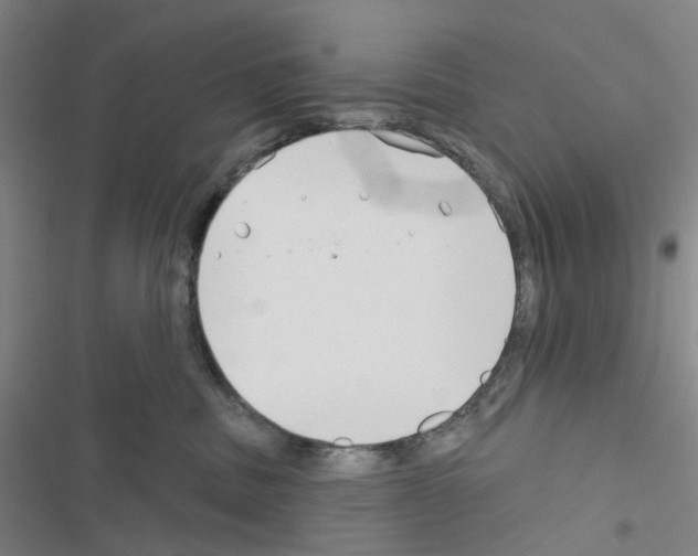 X0000116670379201001251244