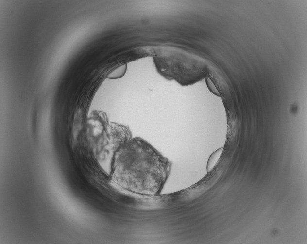 X0000116670381201001251244