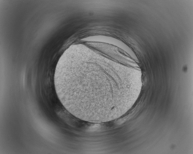 X0000116670382201001251244