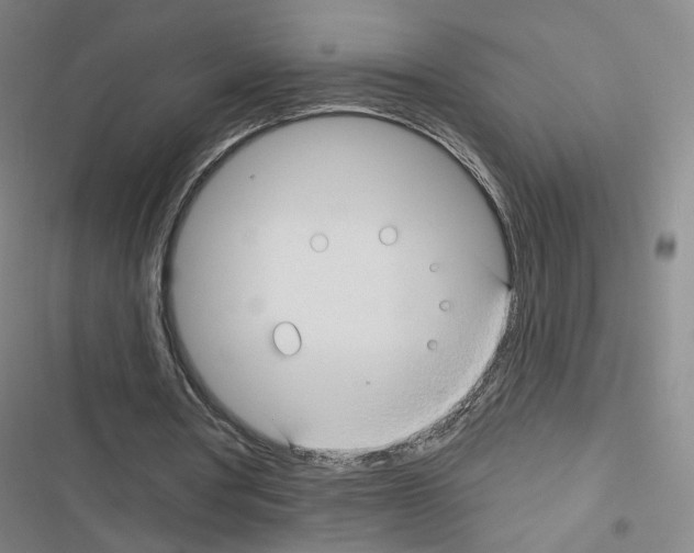 X0000116670386201001251243
