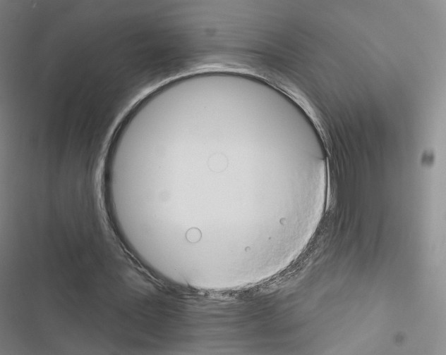 X0000116670387201001251243