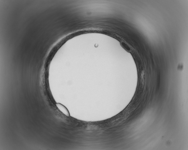 X0000116670388201001251243